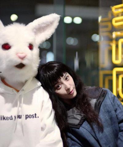 兔子爆料博主视频大全集,揭秘博主视频大全集背后的精彩瞬间